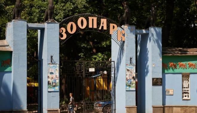 Смотреть онлайн сериал новости 7 серию
